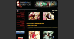 Desktop Screenshot of mineralservice.com